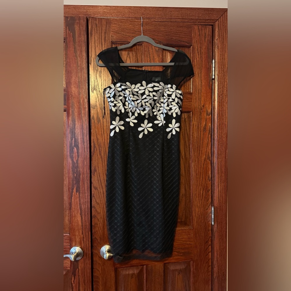 Adrianna Papell occasion dress. Size 2